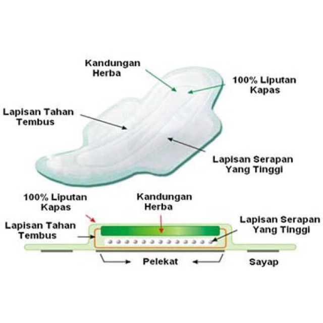 Ilustrasi lapisan pad